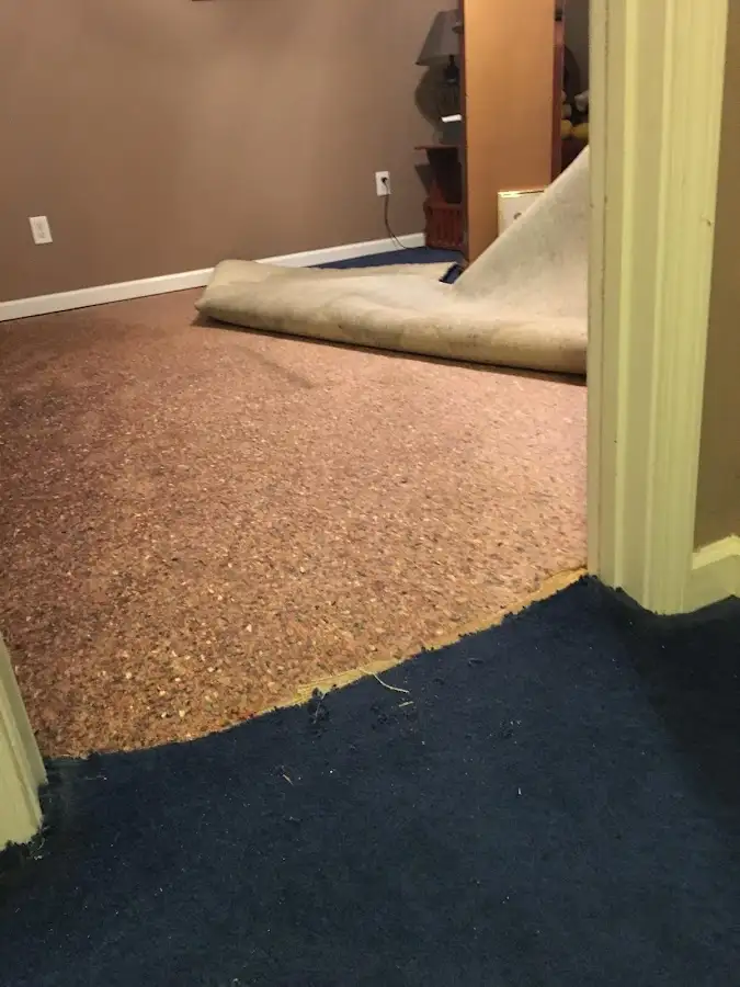 Carpet pad removal revealing water damage during Water Mitigation Services in Plainsboro