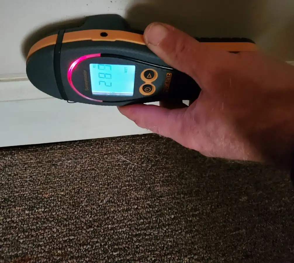Moisture detection at baseboard during Sewage Cleanup & Sanitation in Plainsboro